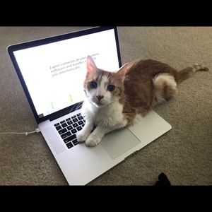 Meet your Posher, Jessica